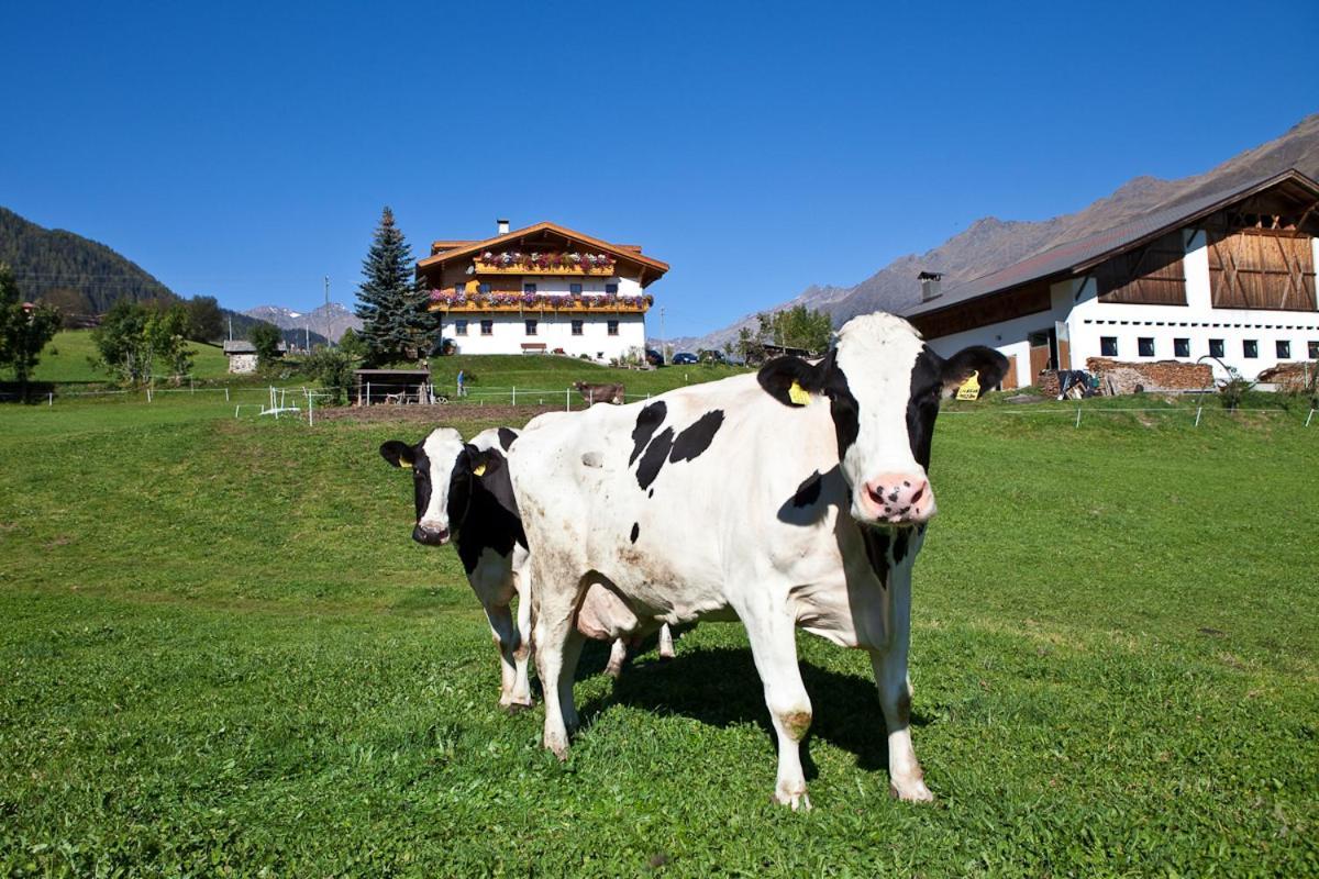Schneiderhof, Chalet, Urlaub Auf Dem Bauernhof Ridanna Dış mekan fotoğraf