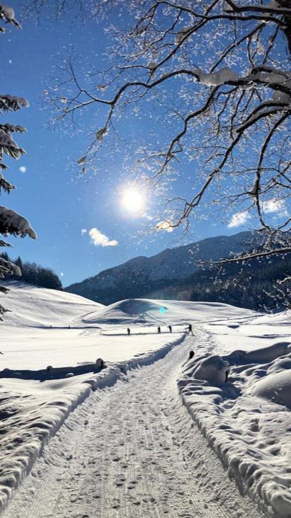 Schneiderhof, Chalet, Urlaub Auf Dem Bauernhof Ridanna Dış mekan fotoğraf
